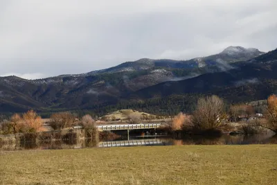 DSC_5775 (Large).JPG